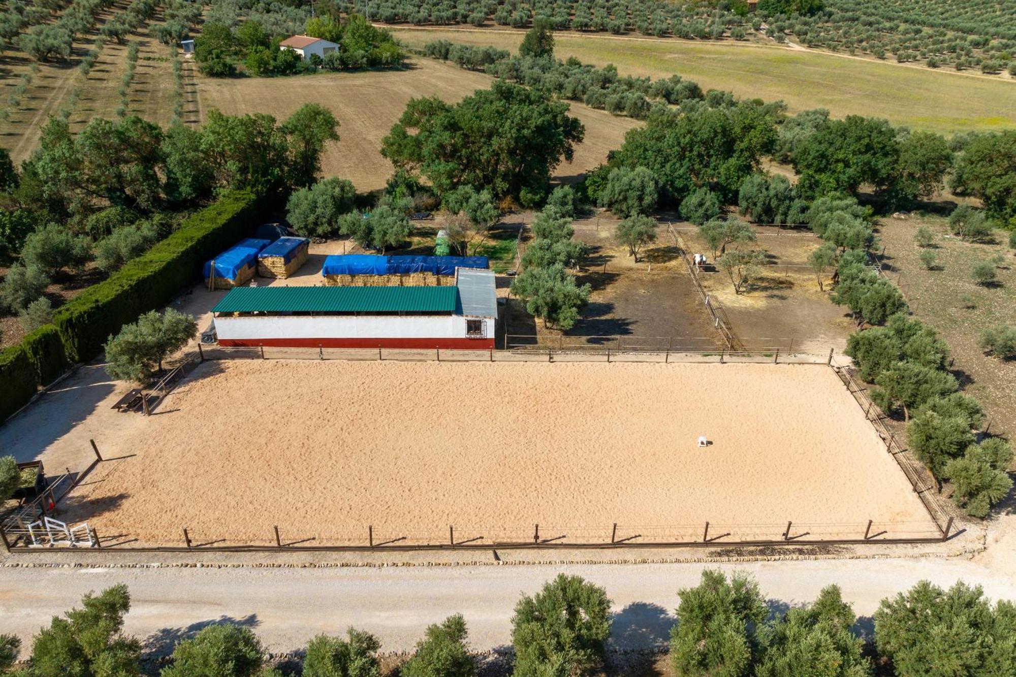 Pasa Fina, Luxury Holiday Retreat Villanueva del Trabuco Exterior foto